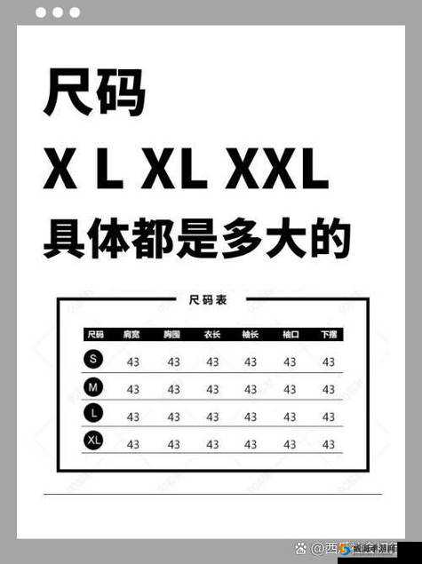 欧洲尺码日本尺码专线中老年服饰：时尚与舒适的完美结合