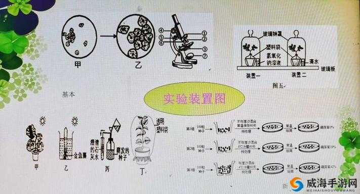 麻豆产国品一二三产品区别之详细分析与对比探讨