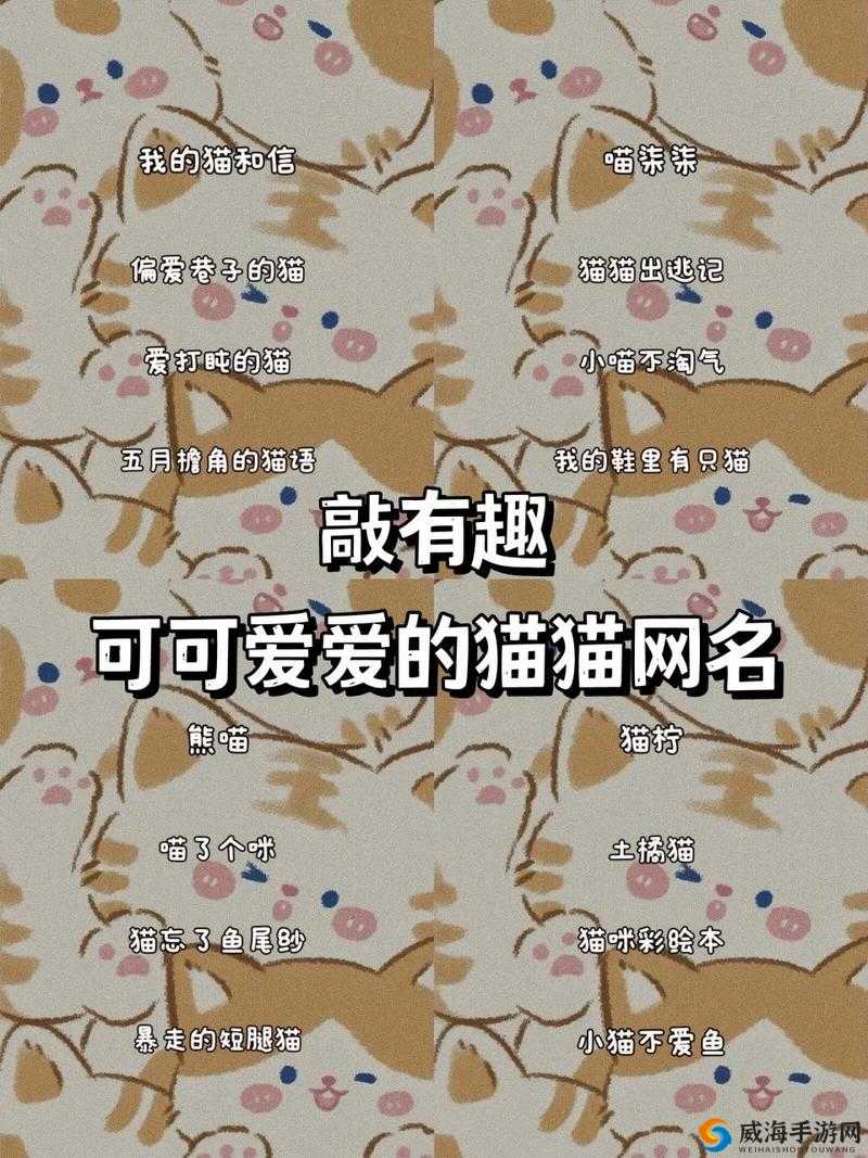 新版猫咪地域网名相关：独特魅力尽显的猫咪网络世界