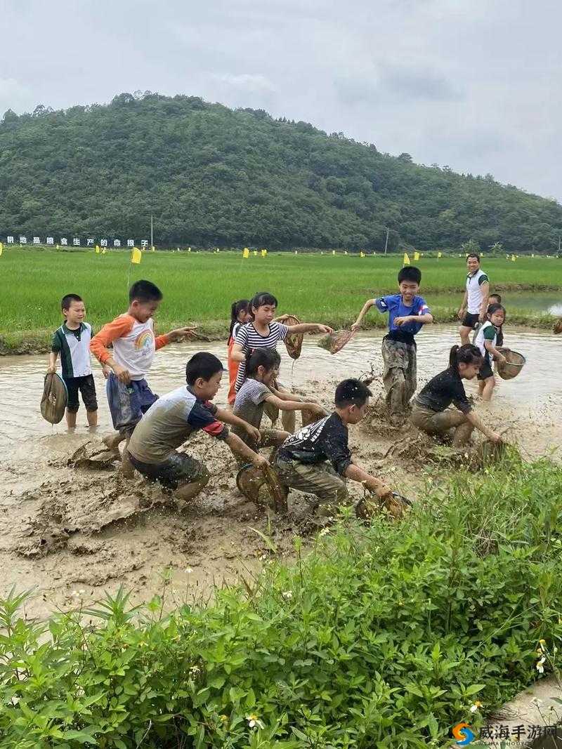 浪漫插秧和亲密插秧的区别之详细分析与深入探讨