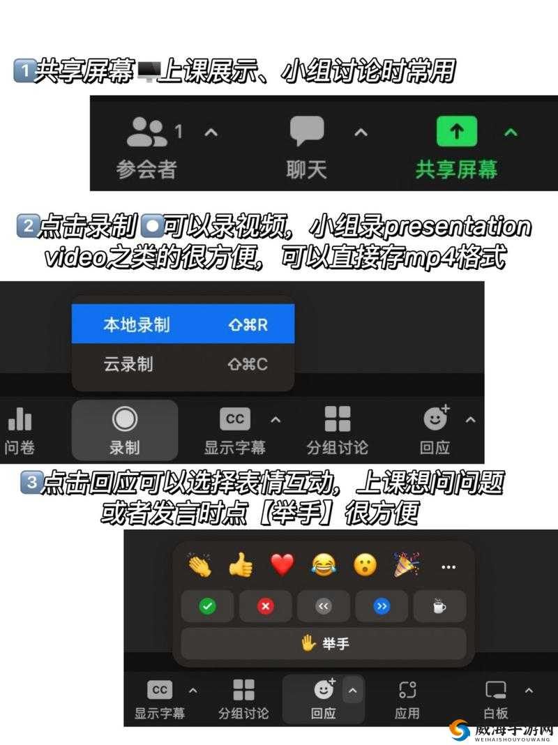 组队指南：美国 ZOOM 人与 ZOOM 欧的组队经验分享