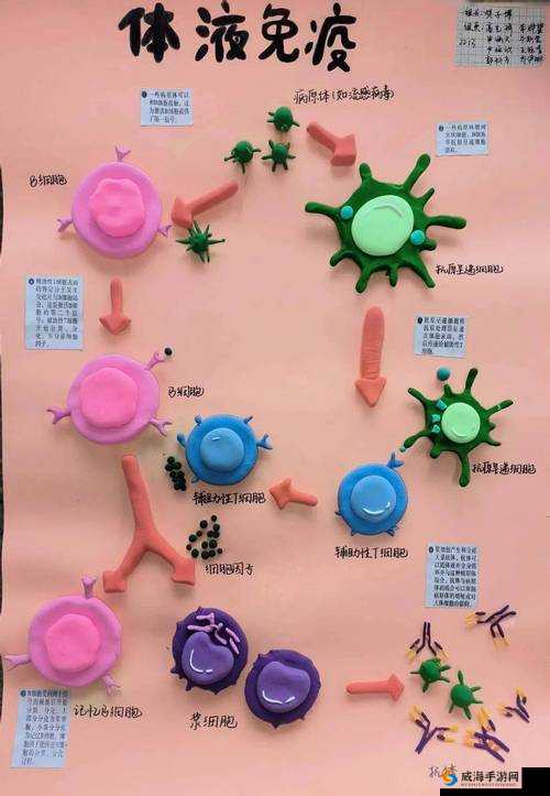 我成了生物课的教具，供学生们观察和研究：探索生命的奥秘