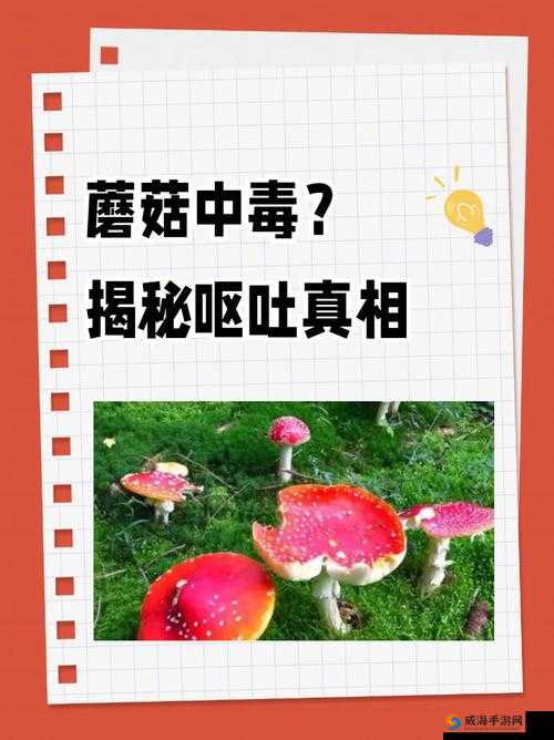 17c555 黑料蘑菇：是真相还是谣言？