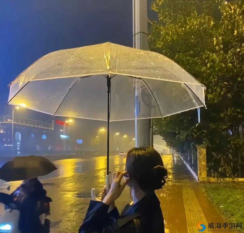 下雨天公交车站避雨 1 技巧：如何更好地在下雨天公交车站避雨