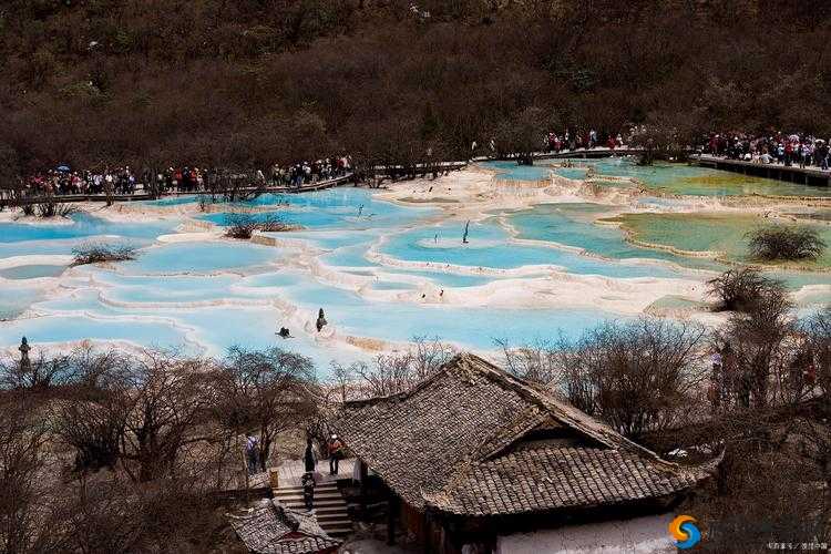 水蜜桃仙踪林的奇幻之旅：探寻那神秘而美妙的仙境之地