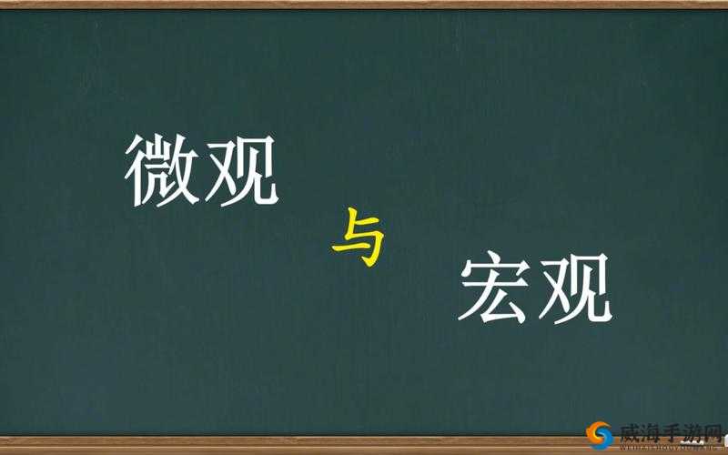 如何理解大开大合地动了起来的景象：从宏观到微观的全面解读