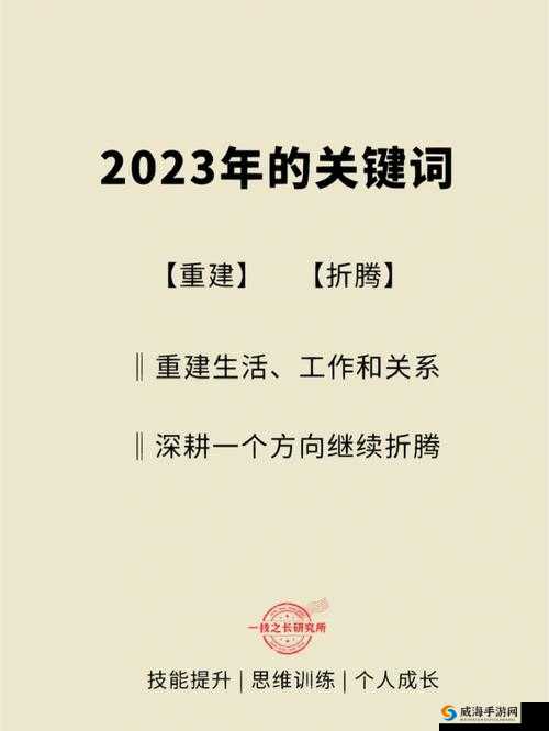 2023年关键词透视，社会发展新趋势、挑战与机遇并存