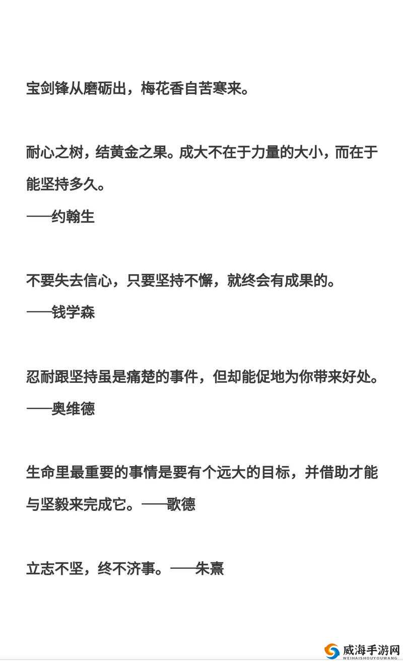 追逐梦想的征途，以不懈坚持铸就非凡人生的励志篇章