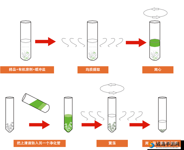 掌握扣水的正确方法：详细解析扣水操作流程及要点