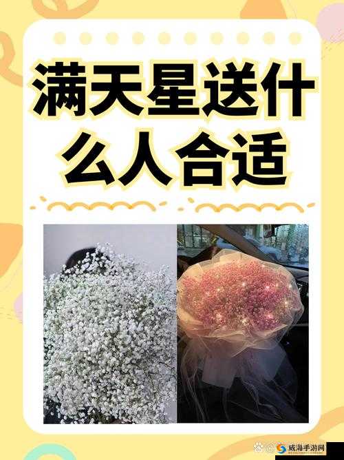 女管家法国满天星之浪漫花束的独特魅力与养护要点