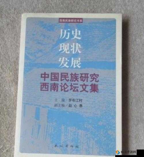 探索蒙古 B 大吗：关于其历史文化与发展现状的深入研究