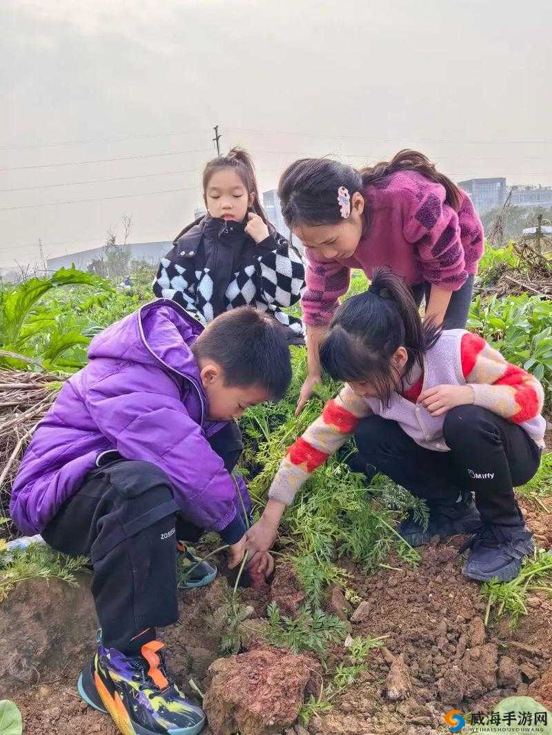 二人世界欢乐拔萝卜：独特趣味玩法畅享美好时光