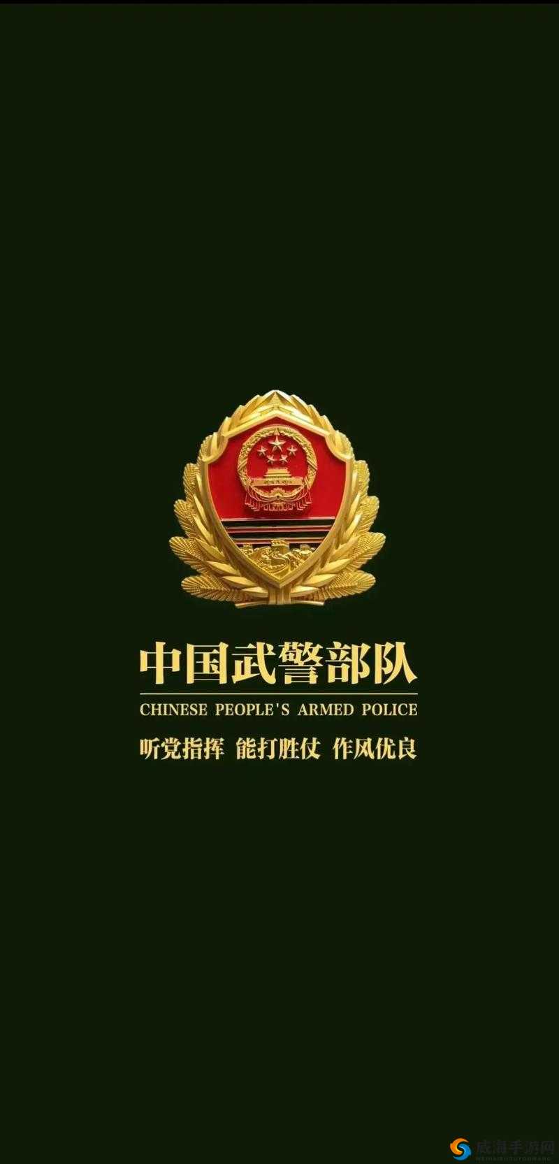 中国 ChinaGary 武警：忠诚守护国家与人民的钢铁卫士