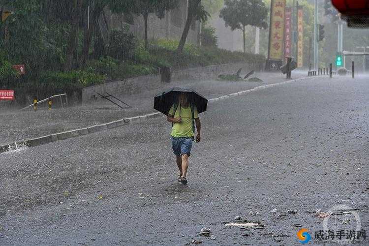 出差遇暴风雨下属 850 共同应对艰难困境