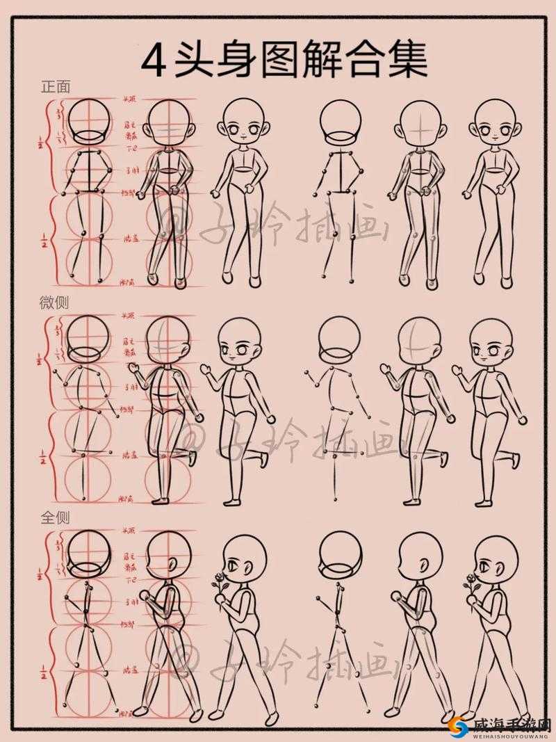 48 招插画教程图片高清：从入门到精通的实用技巧