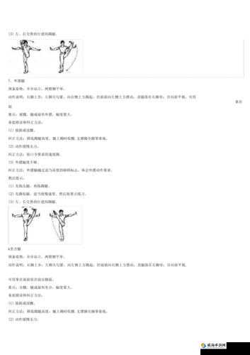 伽罗腿法熟练教程在线观看：让你快速掌握腿法精髓