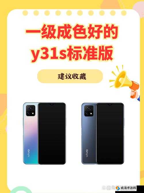 Y31 成色鉴定：专业精准判定其品质成色