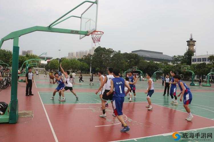 大学篮球体育飞机Chinese的特点：活力与创新的融合展现