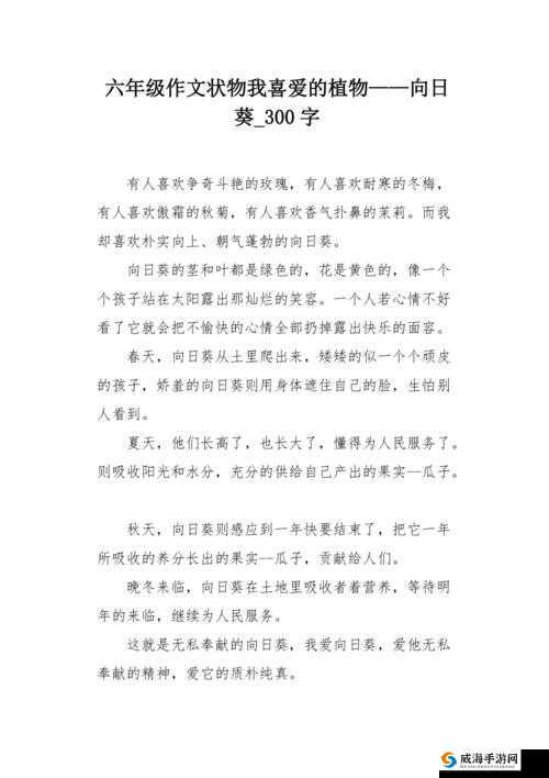 中国式家长，探索向日葵与阳光意象在作文中的写法与首选构思分析