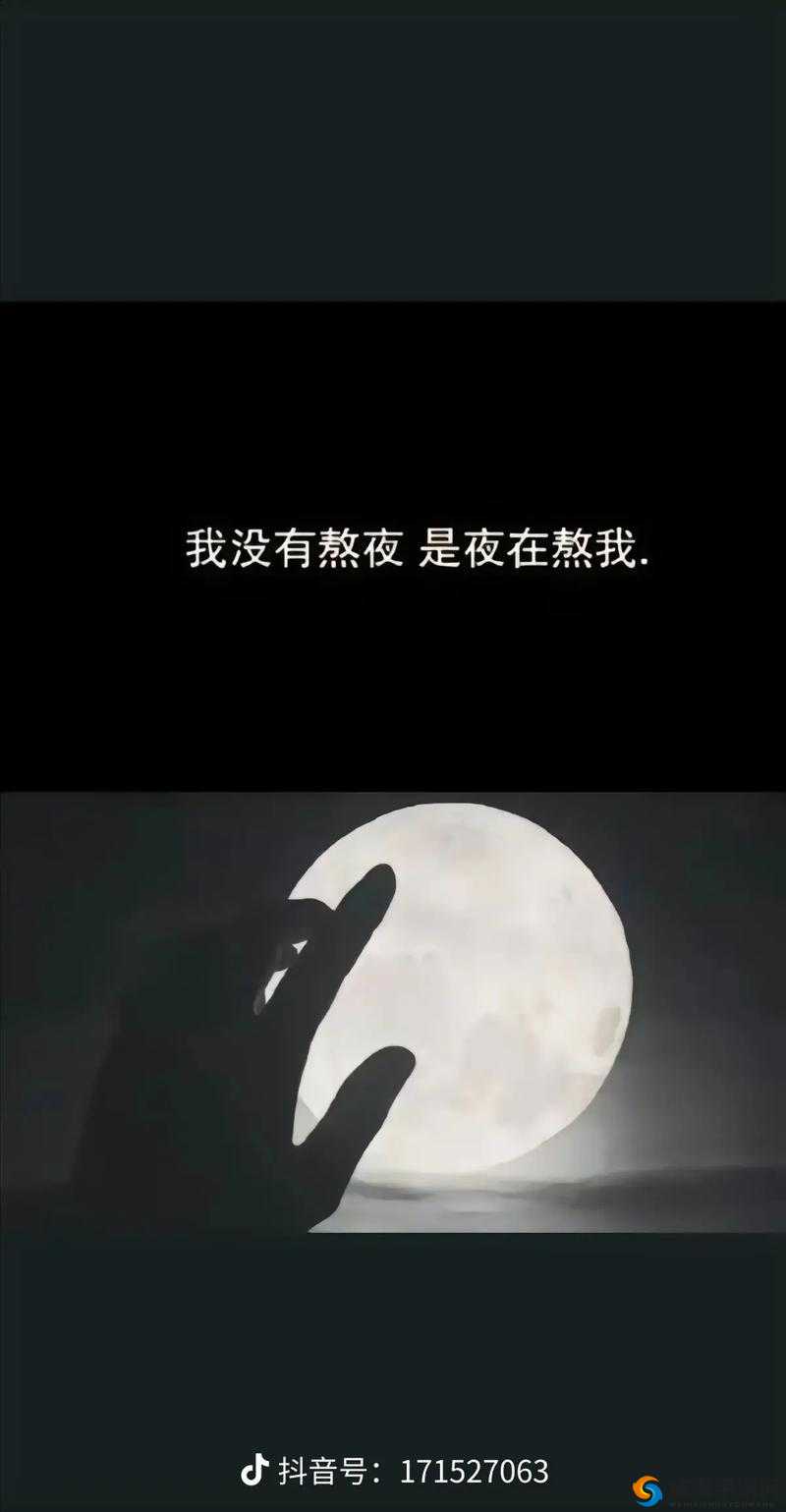 晚上一个人看的网址：让孤独的夜晚充满精彩内容