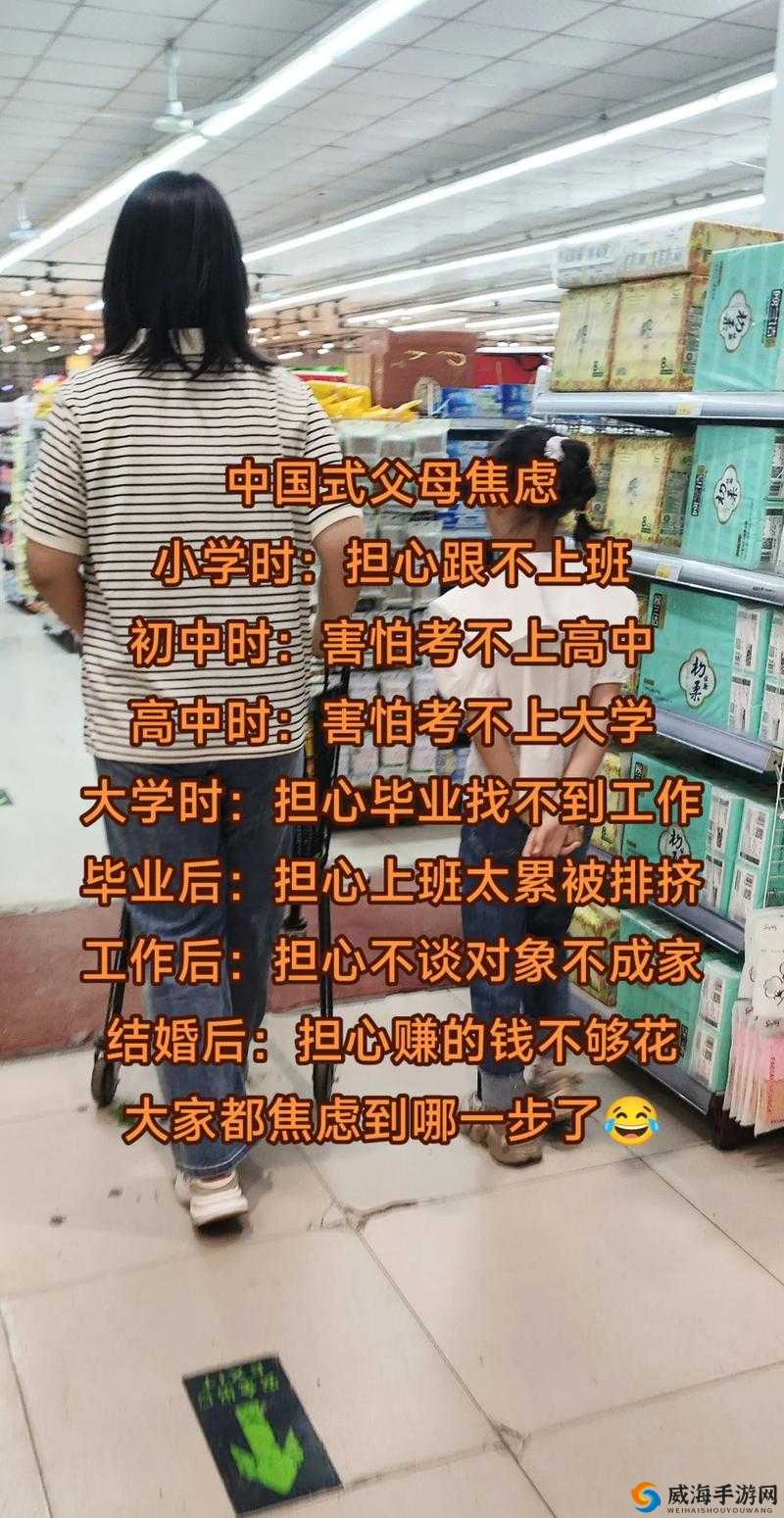 探索中国式家长教育策略，揭秘清华北大高效考取技巧与心得