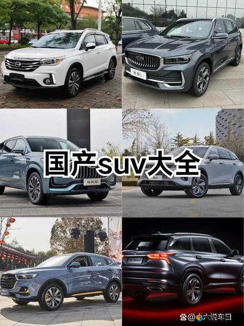 国产一级 SUV 好看之 6554：独具魅力的国产精品