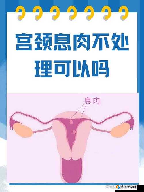 一女不过三精什么意思：关于女性与精明的深入探讨