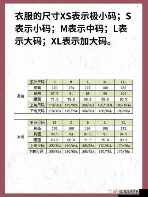 亚码 L 跟欧码 L 区别在哪：深度解析尺码背后的秘密