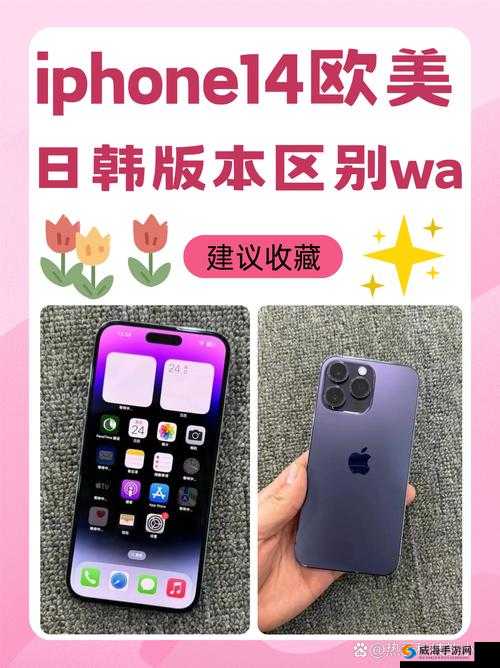 iPhone 14 欧美日韩版本差异与特点解析