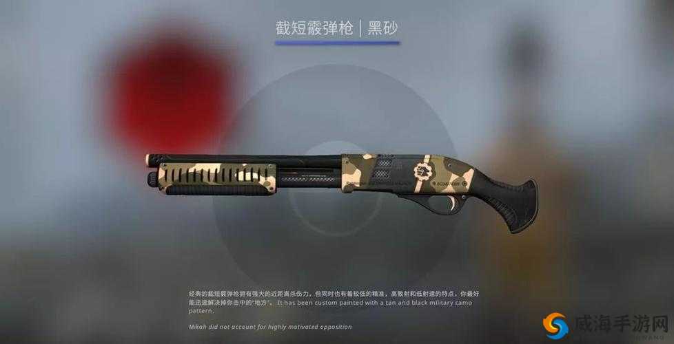 日本 CSGO 大姐姐 AWP 价格：你需要知道的一切