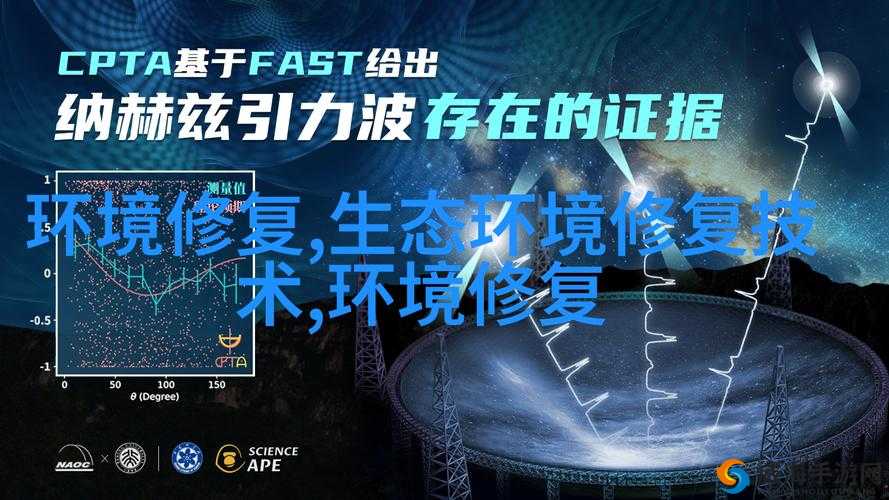 德国大 8BW：探索其独特魅力与奥秘