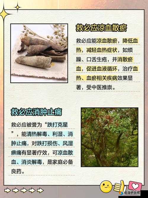 江湖求生必备，全面揭秘各类药品的神奇功效与用途指南