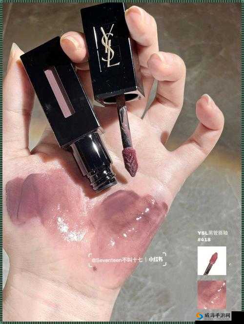 YSL 千人千色 T9 与 T9 的区别究竟在哪