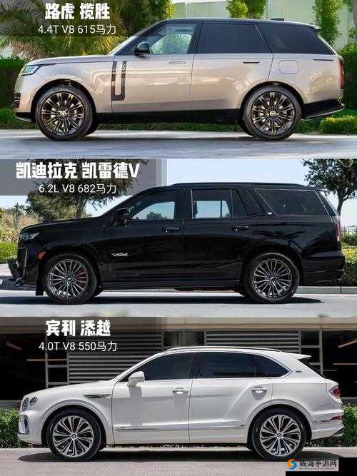 揭秘成熟欧美精品 SUV：全方位探索其卓越品质与魅力