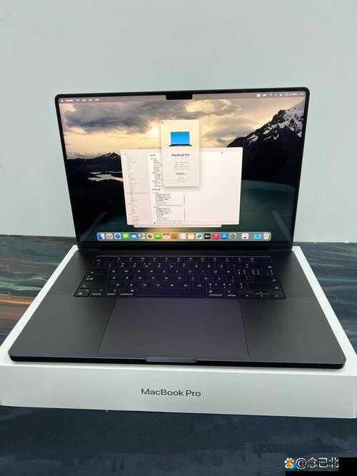 性系 MACBOOKPRO 高清：带来极致视觉体验的优质笔记本电脑