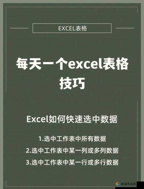 免费 Excel 网站大揭秘：提升效率的必备工具