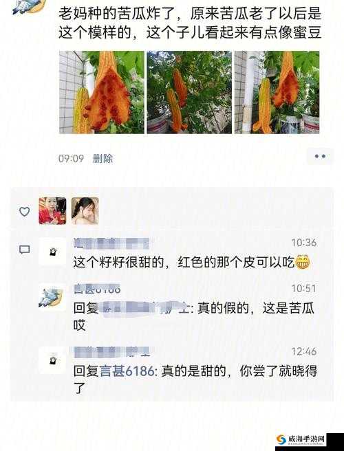 绿帽苦瓜网 91：揭示不为人知的隐秘世界