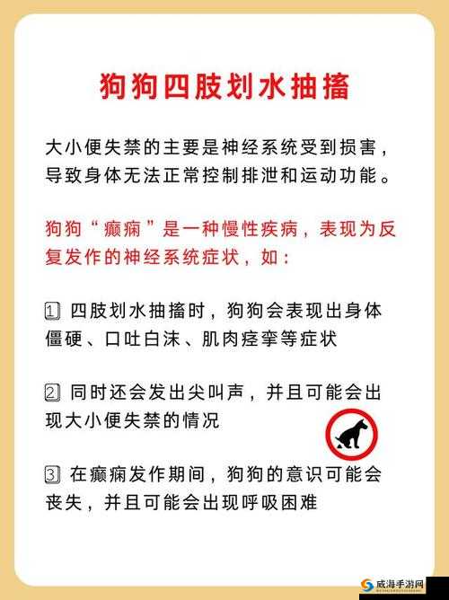 狗狗不受控制划水尿失禁：探寻背后的深层原因及应对策略