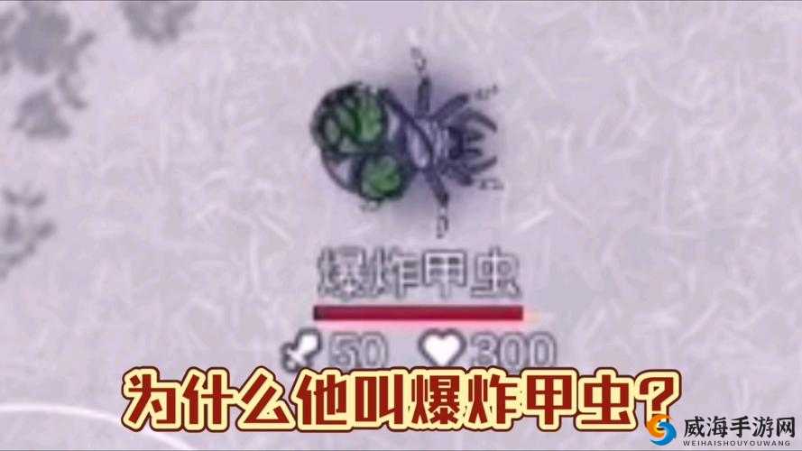 阿瑞斯病毒游戏中高效击败爆炸甲虫的实战打法与技巧攻略