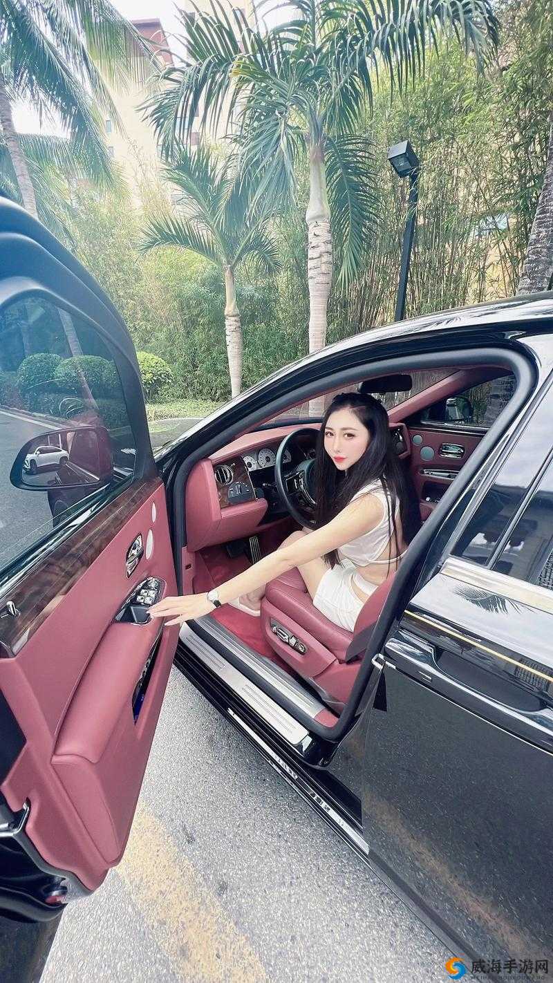 jzzijzzij 亚洲成熟少妇车：征服你的激情之选