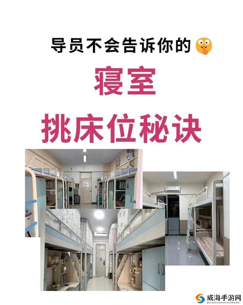 双点校园挑选宿舍床位的技巧以及如何快速适应校园生活