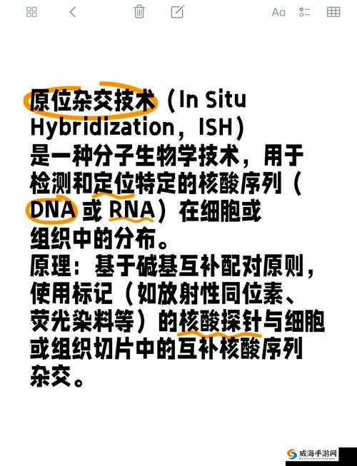 RNAScope 原位杂交：探索细胞内基因表达的先进技术