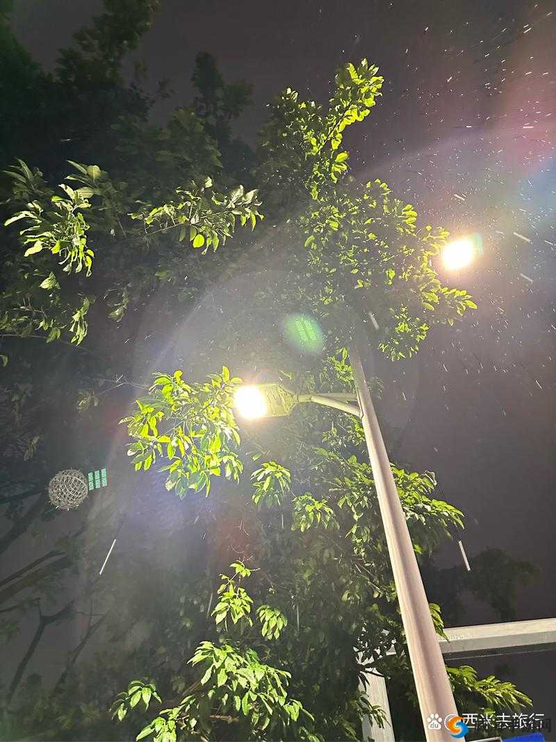 一天晚上用了好几个小雨伞：令人费解的雨夜经历