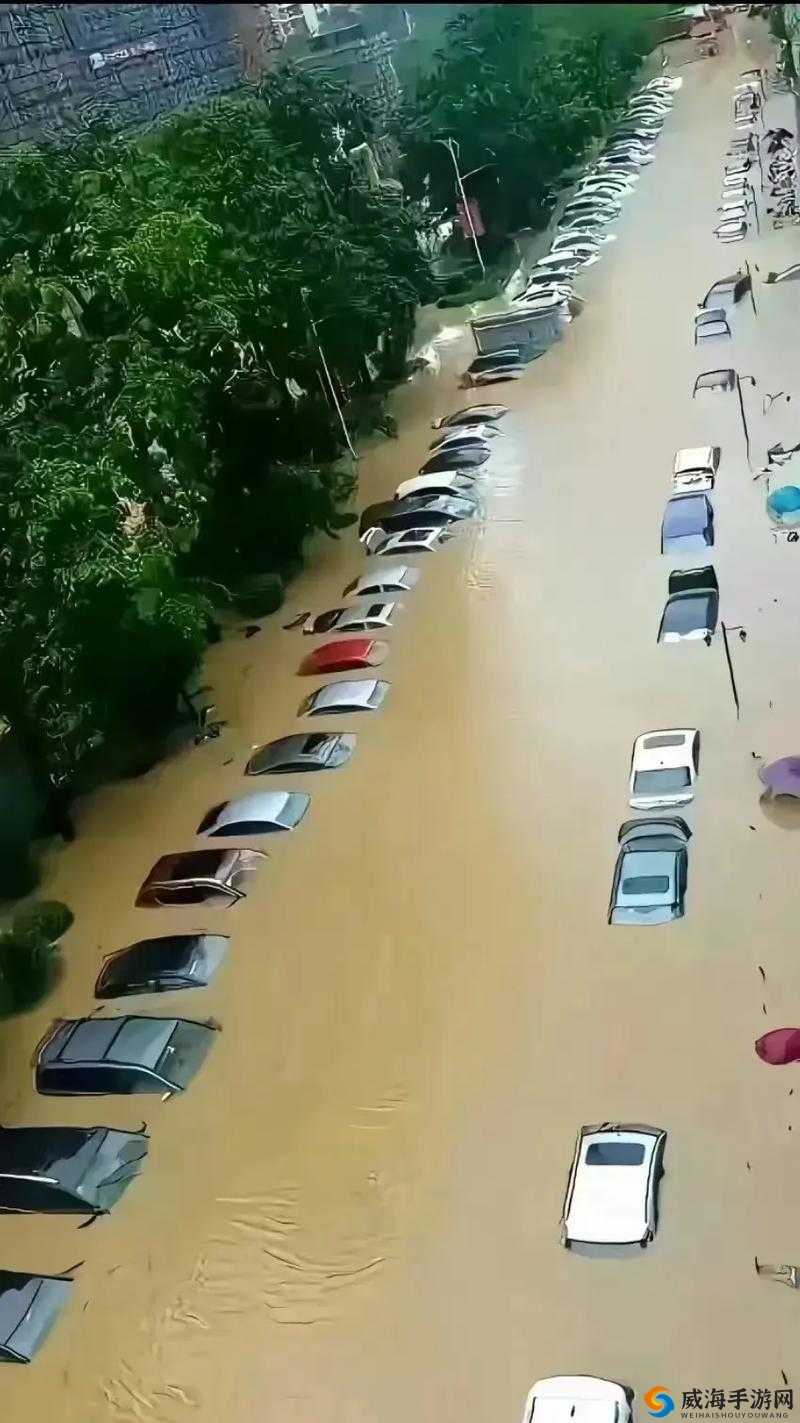 出差遇暴风雨，属下 850 勇救老板