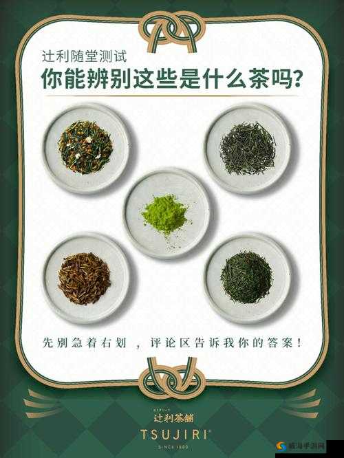 茗心录全茶叶品种一览及每种茶叶最佳煎茶时间汇总