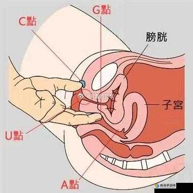 二指探洞：极致刺激的私密体验过程