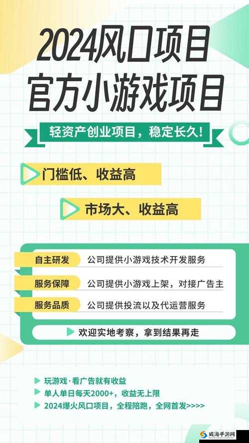 成品站入口页版怎样引爆全：打造极致用户体验引爆全站流量