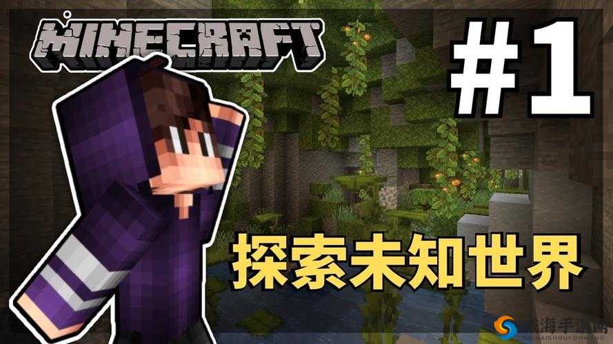 暴躁老外玩 Minecraft 大型纪录片：探索游戏世界的奇妙之旅