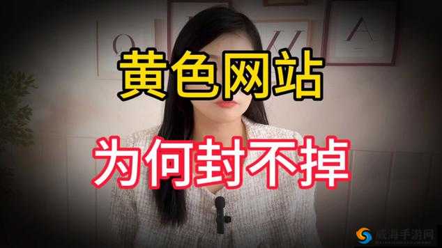 关于 404 黄色视频相关内容的探讨与分析