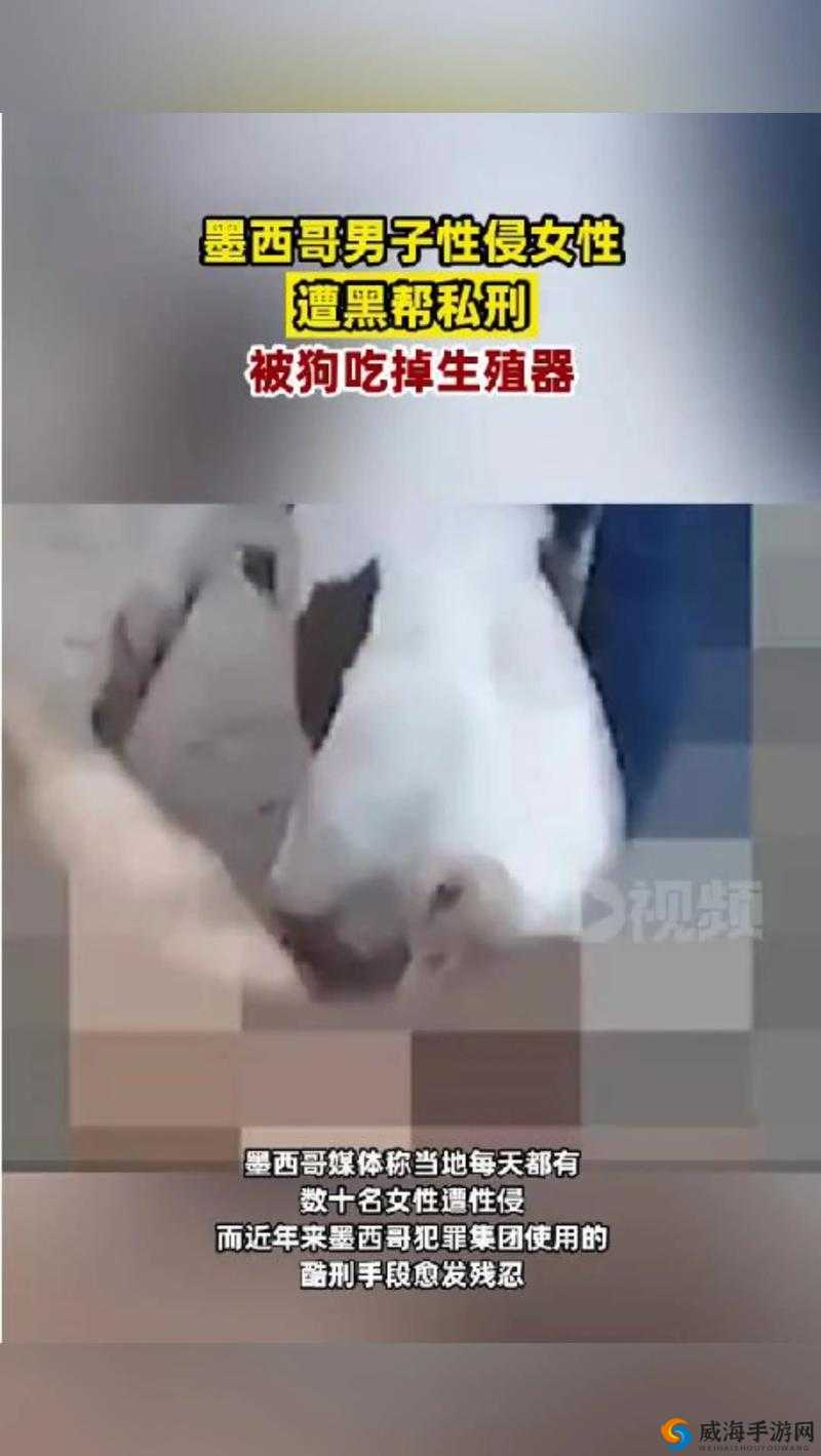 ：女子与公拘交酡，过程令人咋舌